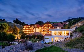 Wellnesshotel Ludinmuehle